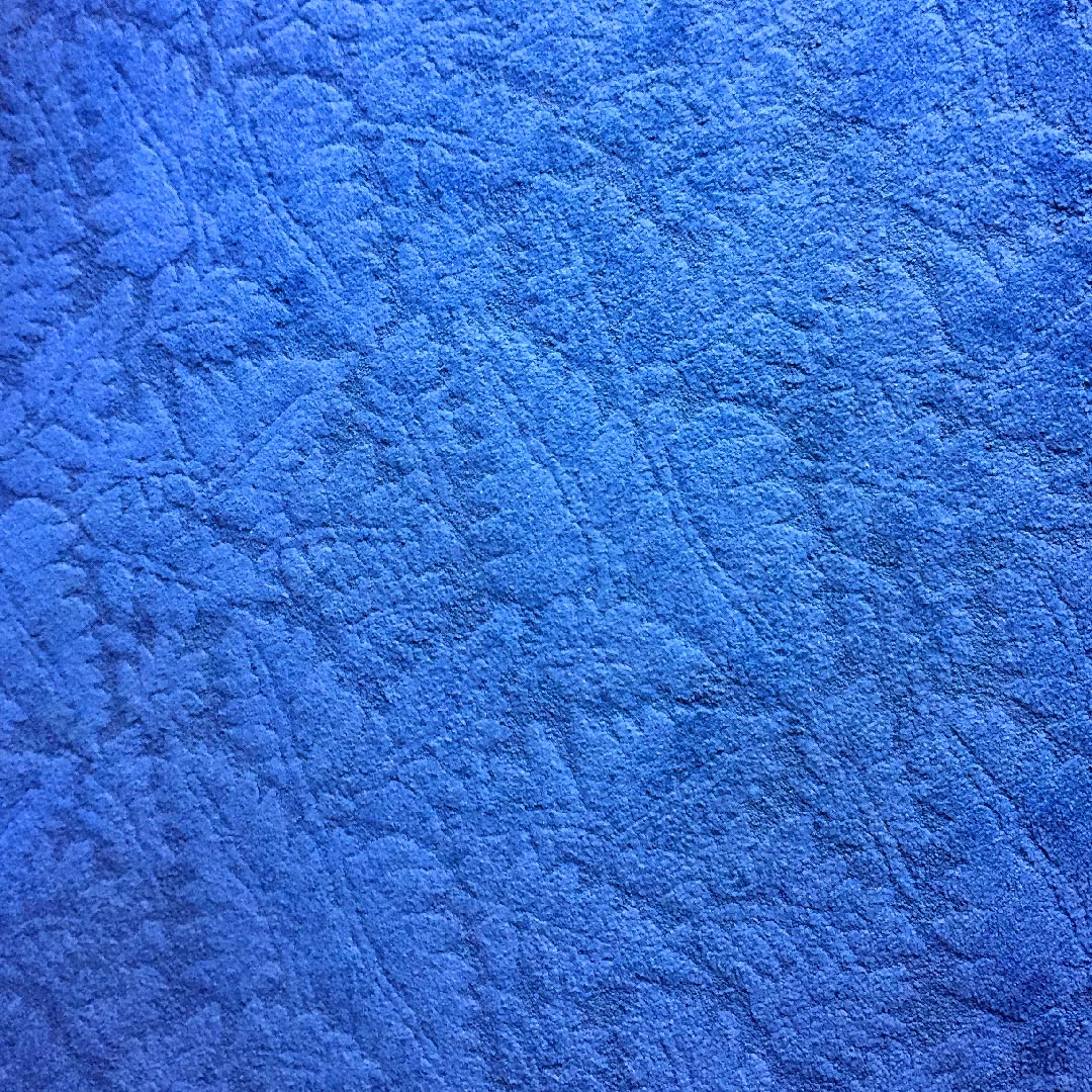 Paris Las Vegas hotel carpet